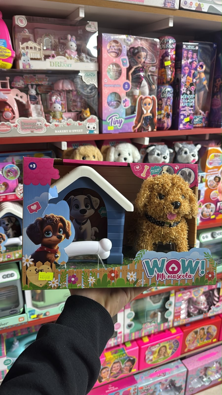 Cachorro Mascota Marron