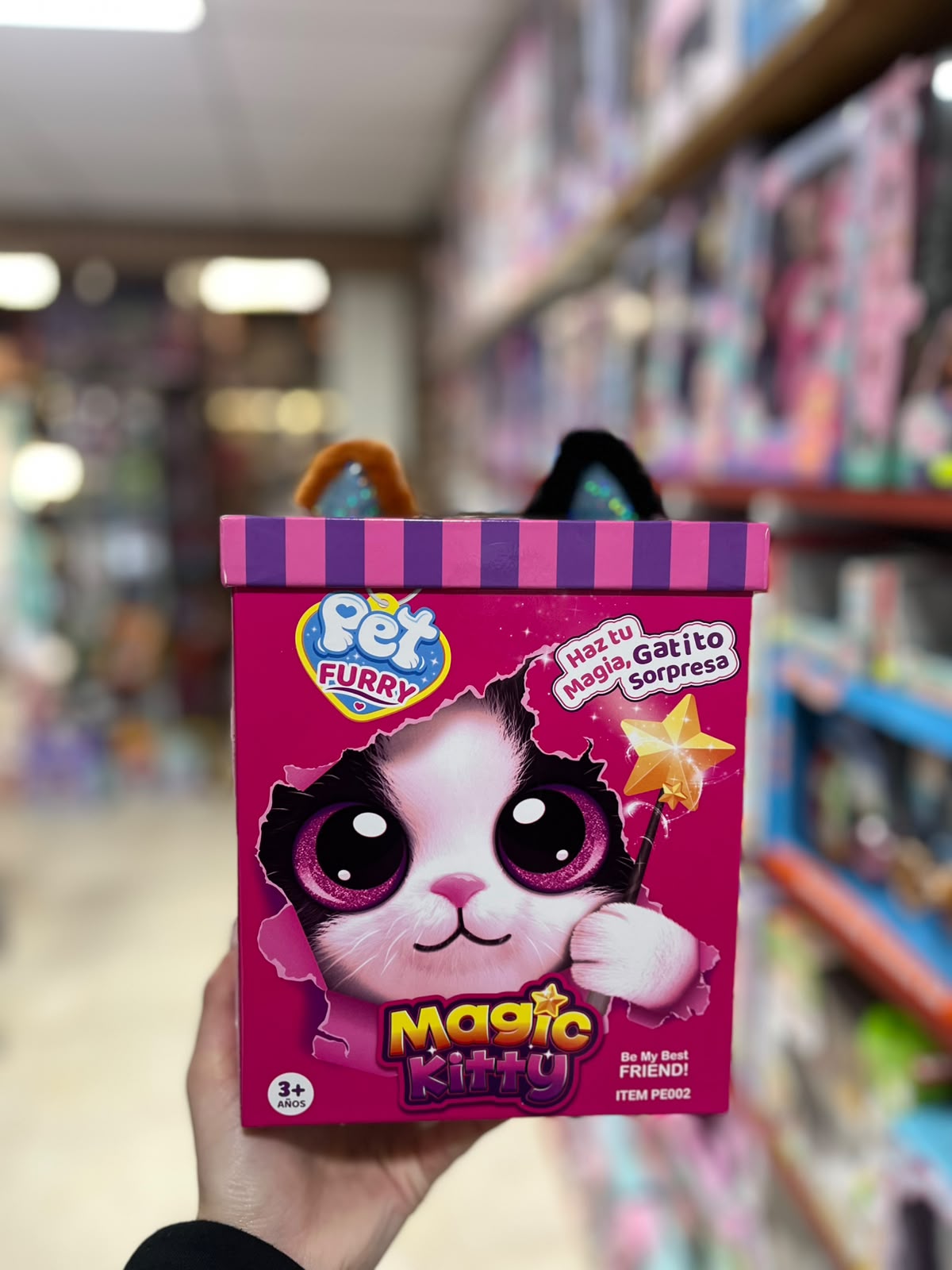 Gatito Sorpresa