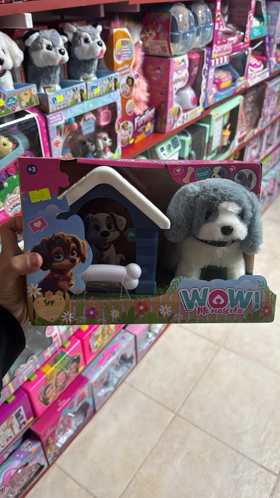 Cachorro Mascota Gris