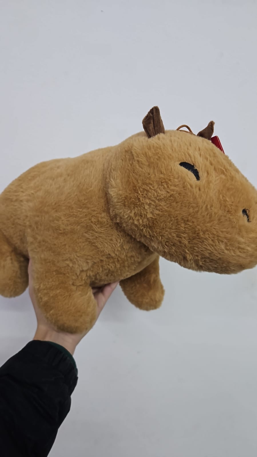 Peluche capybara